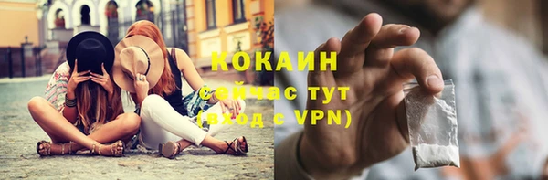 СК Бородино