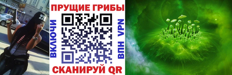 blacksprut зеркало  Чита  Галлюциногенные грибы MAGIC MUSHROOMS 